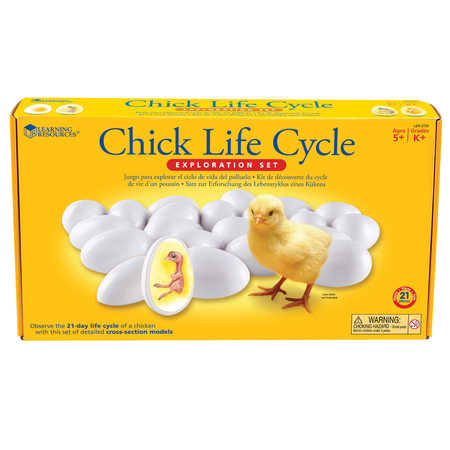 LEARNING RESOURCES Chick Life Cycle Exploration Set 2733